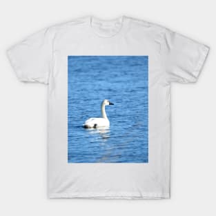 Tundra Swan at Malheur NWR T-Shirt